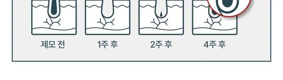 [부스터젤 증정] 혼바디 PICK 뉴트럴 바디트리머 상세페이지 17